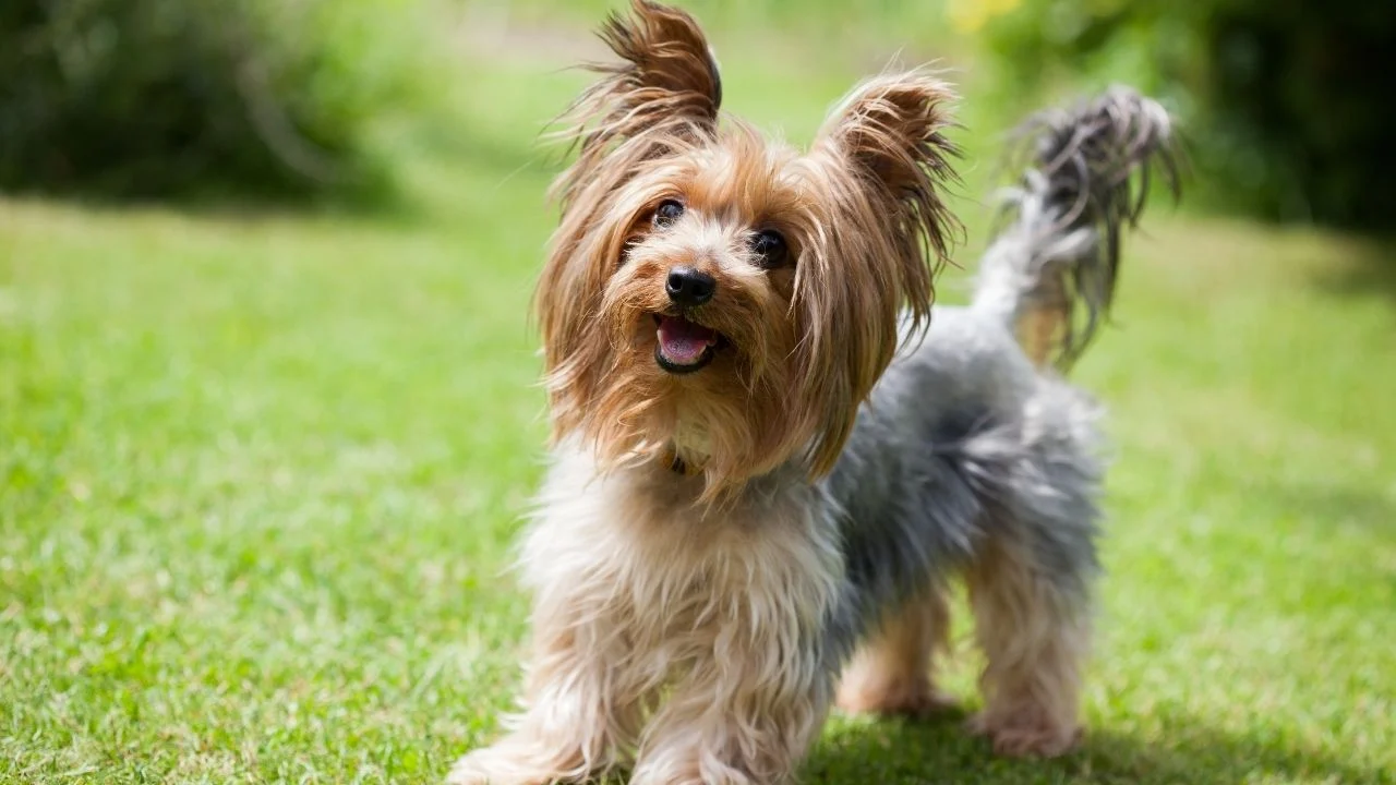 c43c7e71-41fe-4697-a1f5-e73726b8cc49